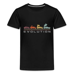 stock-car-racing-evolution-retro-f1-tshirt