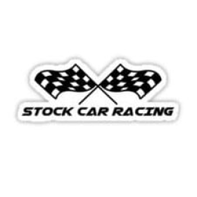 all-stockcar-racing-black-flags-sticker